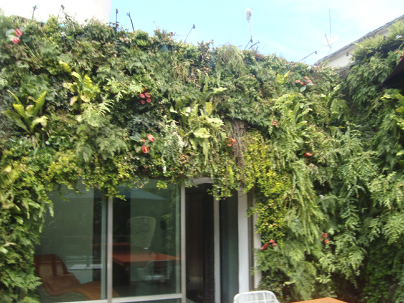 moraes_alves_corporativo_africa_rio8